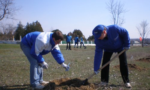 В Москве на субботнике посадили более двух тысяч деревьев