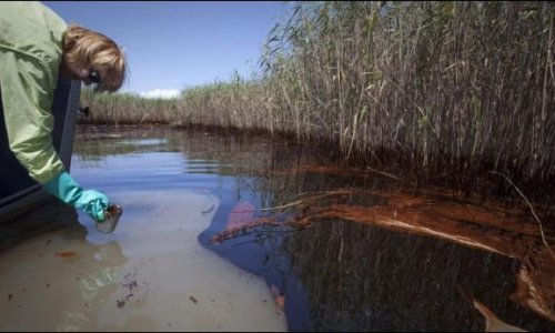 Разлившаяся в США нефть попала в реку