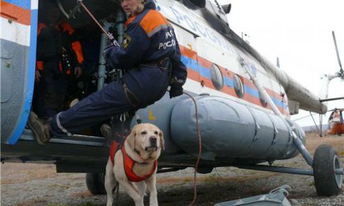 9 декабря в Москве будут вручать награды спасателям с Камчатки