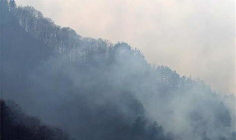В Бурятии за минувшие сутки зарегистрировано 13 лесных пожаров