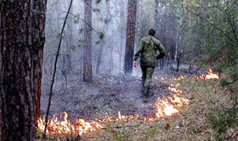 На всей территории Приморского края введен особый противопожарный режим