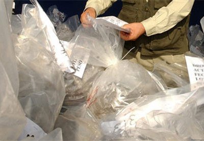 Наркополицейские изъяли свыше 5 тонн мака на оптовой базе в Екатеринбурге