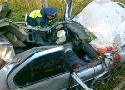 В результате столкновения с лосем в Подмосковье погибли водитель и два пассажира