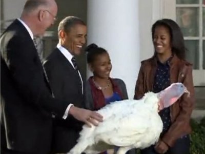В День Благодарения Барак Обама помиловал двух индюков