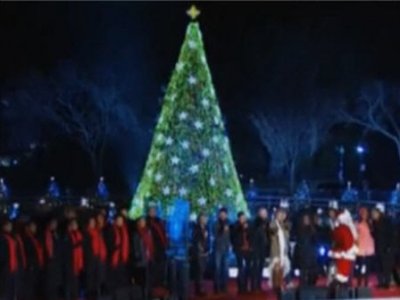 Обама с семьей зажег огни на главной рождественской елке Америки
