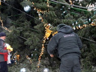 23-метровая елка рухнула на центральной площади Бишкека