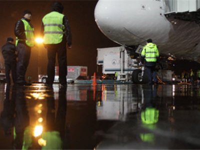 Самолет с 12 россиянами пострадавшими во Франции, приземлился в аэропорту Домодедово