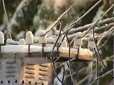 Ледяной дождь и сильный ветер оставили без электроснабжения 17 тысяч человек в Ростовской области