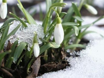 Москвичам пообещали теплую весну