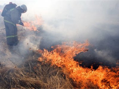 В Приморье пришли первые лесные пожары