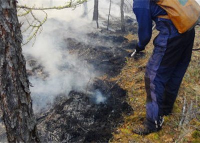 В Амурской области полыхают лесные пожары