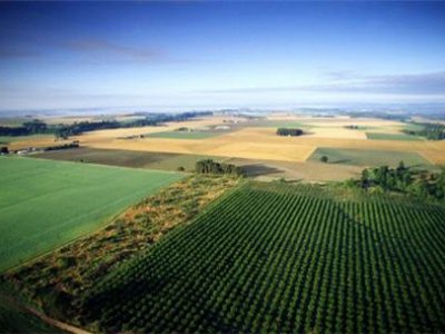 Китай арендует на Украине 3 млн га сельхозугодий сроком на 50 лет