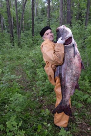 В Свердловской области выловили рыбу весом почти 42 кг