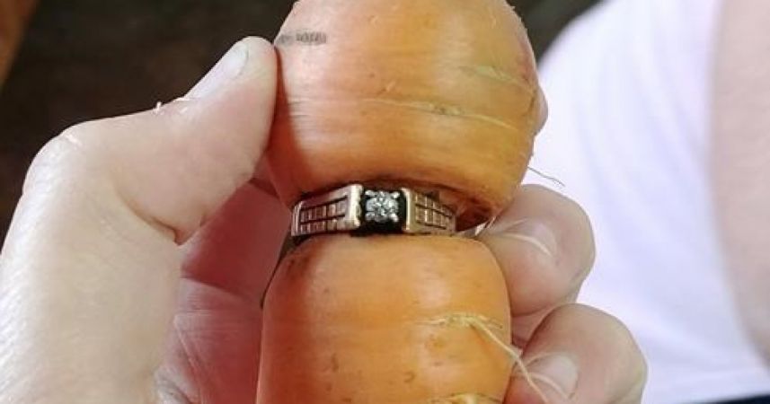 Жительница Канады нашла утерянное кольцо на морковке через 13 лет