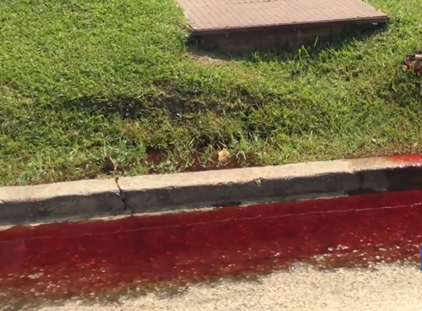 В США улицу залило кровью из-за несправной канализации в похоронном бюро