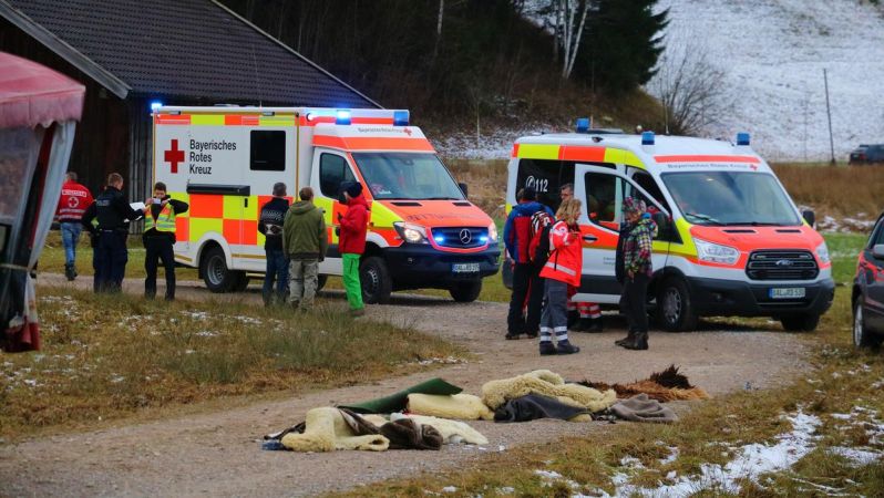 В Германии 20 человек пострадали в столкновении двух конных повозок